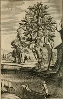 An illustration from Recueil d'emblemes diuers : auec des discours moraux, philosophiques, et politiques, tirez de diuers autheurs, anciens & modernes (1638)