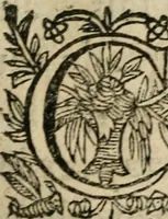 An illustration from Recueil d'emblemes diuers : auec des discours moraux, philosophiques, et politiques, tirez de diuers autheurs, anciens & modernes (1638)