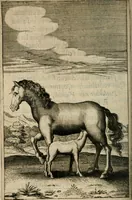 An illustration from Recueil d'emblemes diuers : auec des discours moraux, philosophiques, et politiques, tirez de diuers autheurs, anciens & modernes (1638)