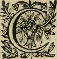 An illustration from Recueil d'emblemes diuers : auec des discours moraux, philosophiques, et politiques, tirez de diuers autheurs, anciens & modernes (1638)