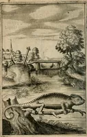 An illustration from Recueil d'emblemes diuers : auec des discours moraux, philosophiques, et politiques, tirez de diuers autheurs, anciens & modernes (1638)