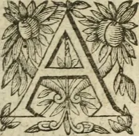 An illustration from Recueil d'emblemes diuers : auec des discours moraux, philosophiques, et politiques, tirez de diuers autheurs, anciens & modernes (1638)