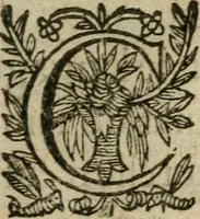 An illustration from Recueil d'emblemes diuers : auec des discours moraux, philosophiques, et politiques, tirez de diuers autheurs, anciens & modernes (1638)