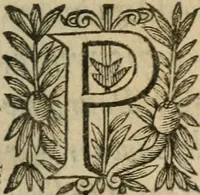 An illustration from Recueil d'emblemes diuers : auec des discours moraux, philosophiques, et politiques, tirez de diuers autheurs, anciens & modernes (1638)