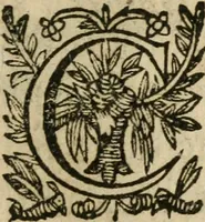 An illustration from Recueil d'emblemes diuers : auec des discours moraux, philosophiques, et politiques, tirez de diuers autheurs, anciens & modernes (1638)