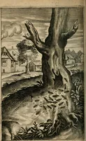 An illustration from Recueil d'emblemes diuers : auec des discours moraux, philosophiques, et politiques, tirez de diuers autheurs, anciens & modernes (1638)