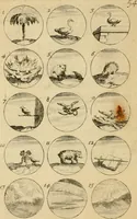 Picture 59 of 241 from Recueil d'emblêmes, devises, medailles, et figures hieroglyphiques : au nombre de plus de douze cent, avec leurs explications, accompagné de plus de deux mille chiffres fleuronnez simples, doubles & triples, d'une maniere nouvelle & fort curieuse pour tous les noms imaginable : avec les tenants, supports, & cimiers servans aux ornemens des armes ... (1696), leaf 123