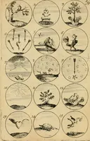 An illustration from Recueil d'emblêmes, devises, medailles, et figures hieroglyphiques : au nombre de plus de douze cent, avec leurs explications, accompagné de plus de deux mille chiffres fleuronnez simples, doubles & triples, d'une maniere nouvelle & fort curieuse pour tous les noms imaginable : avec les tenants, supports, & cimiers servans aux ornemens des armes ... (1696)