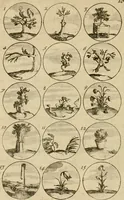 Picture 15 of 241 from Recueil d'emblêmes, devises, medailles, et figures hieroglyphiques : au nombre de plus de douze cent, avec leurs explications, accompagné de plus de deux mille chiffres fleuronnez simples, doubles & triples, d'une maniere nouvelle & fort curieuse pour tous les noms imaginable : avec les tenants, supports, & cimiers servans aux ornemens des armes ... (1696), leaf 35