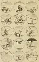 Picture 16 of 241 from Recueil d'emblêmes, devises, medailles, et figures hieroglyphiques : au nombre de plus de douze cent, avec leurs explications, accompagné de plus de deux mille chiffres fleuronnez simples, doubles & triples, d'une maniere nouvelle & fort curieuse pour tous les noms imaginable : avec les tenants, supports, & cimiers servans aux ornemens des armes ... (1696), leaf 37