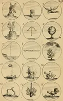 Picture 34 of 241 from Recueil d'emblêmes, devises, medailles, et figures hieroglyphiques : au nombre de plus de douze cent, avec leurs explications, accompagné de plus de deux mille chiffres fleuronnez simples, doubles & triples, d'une maniere nouvelle & fort curieuse pour tous les noms imaginable : avec les tenants, supports, & cimiers servans aux ornemens des armes ... (1696), leaf 73