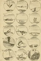 Picture 39 of 241 from Recueil d'emblêmes, devises, medailles, et figures hieroglyphiques : au nombre de plus de douze cent, avec leurs explications, accompagné de plus de deux mille chiffres fleuronnez simples, doubles & triples, d'une maniere nouvelle & fort curieuse pour tous les noms imaginable : avec les tenants, supports, & cimiers servans aux ornemens des armes ... (1696), leaf 83