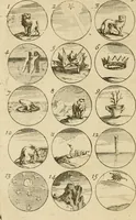 An illustration from Recueil d'emblêmes, devises, medailles, et figures hieroglyphiques : au nombre de plus de douze cent, avec leurs explications, accompagné de plus de deux mille chiffres fleuronnez simples, doubles & triples, d'une maniere nouvelle & fort curieuse pour tous les noms imaginable : avec les tenants, supports, & cimiers servans aux ornemens des armes ... (1696)