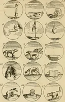 An illustration from Recueil d'emblêmes, devises, medailles, et figures hieroglyphiques : au nombre de plus de douze cent, avec leurs explications, accompagné de plus de deux mille chiffres fleuronnez simples, doubles & triples, d'une maniere nouvelle & fort curieuse pour tous les noms imaginable : avec les tenants, supports, & cimiers servans aux ornemens des armes ... (1696)