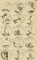 Picture 44 of 241 from Recueil d'emblêmes, devises, medailles, et figures hieroglyphiques : au nombre de plus de douze cent, avec leurs explications, accompagné de plus de deux mille chiffres fleuronnez simples, doubles & triples, d'une maniere nouvelle & fort curieuse pour tous les noms imaginable : avec les tenants, supports, & cimiers servans aux ornemens des armes ... (1696), leaf 93