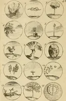 An illustration from Recueil d'emblêmes, devises, medailles, et figures hieroglyphiques : au nombre de plus de douze cent, avec leurs explications, accompagné de plus de deux mille chiffres fleuronnez simples, doubles & triples, d'une maniere nouvelle & fort curieuse pour tous les noms imaginable : avec les tenants, supports, & cimiers servans aux ornemens des armes ... (1696)