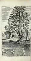 Picture 1 of 45 from Recueil d'emblêmes, ou, Tableaux des sciences & des vertus morales (1685), leaf 14