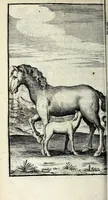 Picture 36 of 45 from Recueil d'emblêmes, ou, Tableaux des sciences & des vertus morales (1685), leaf 312