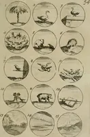 An illustration from Recueil d'emblêmes, devises, medailles, et figures hieroglyphiques, au nombre de plus de douze cent, avec leurs explications : accompagné de plus de deux mille chiffres fleuronnez simples, doubles & triples : d'une manière nouvelle & fort curieuse pour tous les noms imaginables : avec les tenants, supports, & cimiers servans aux ornemens des armes : cet ouvrage qui est enrichy de deux cens cinquante planches en taille-douce, est très-utile aux graveurs, peintres, sculpteurs, orfevres, brodeurs, serruriers, & à tous ceux qui travaillent au dessein (1724)