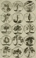 An illustration from Recueil d'emblêmes, devises, medailles, et figures hieroglyphiques, au nombre de plus de douze cent, avec leurs explications : accompagné de plus de deux mille chiffres fleuronnez simples, doubles & triples : d'une manière nouvelle & fort curieuse pour tous les noms imaginables : avec les tenants, supports, & cimiers servans aux ornemens des armes : cet ouvrage qui est enrichy de deux cens cinquante planches en taille-douce, est très-utile aux graveurs, peintres, sculpteurs, orfevres, brodeurs, serruriers, & à tous ceux qui travaillent au dessein (1724)