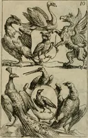 An illustration from Recueil d'emblêmes, devises, medailles, et figures hieroglyphiques, au nombre de plus de douze cent, avec leurs explications : accompagné de plus de deux mille chiffres fleuronnez simples, doubles & triples : d'une manière nouvelle & fort curieuse pour tous les noms imaginables : avec les tenants, supports, & cimiers servans aux ornemens des armes : cet ouvrage qui est enrichy de deux cens cinquante planches en taille-douce, est très-utile aux graveurs, peintres, sculpteurs, orfevres, brodeurs, serruriers, & à tous ceux qui travaillent au dessein (1724)