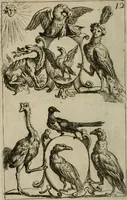 An illustration from Recueil d'emblêmes, devises, medailles, et figures hieroglyphiques, au nombre de plus de douze cent, avec leurs explications : accompagné de plus de deux mille chiffres fleuronnez simples, doubles & triples : d'une manière nouvelle & fort curieuse pour tous les noms imaginables : avec les tenants, supports, & cimiers servans aux ornemens des armes : cet ouvrage qui est enrichy de deux cens cinquante planches en taille-douce, est très-utile aux graveurs, peintres, sculpteurs, orfevres, brodeurs, serruriers, & à tous ceux qui travaillent au dessein (1724)