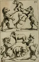 An illustration from Recueil d'emblêmes, devises, medailles, et figures hieroglyphiques, au nombre de plus de douze cent, avec leurs explications : accompagné de plus de deux mille chiffres fleuronnez simples, doubles & triples : d'une manière nouvelle & fort curieuse pour tous les noms imaginables : avec les tenants, supports, & cimiers servans aux ornemens des armes : cet ouvrage qui est enrichy de deux cens cinquante planches en taille-douce, est très-utile aux graveurs, peintres, sculpteurs, orfevres, brodeurs, serruriers, & à tous ceux qui travaillent au dessein (1724)