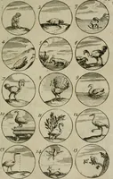 An illustration from Recueil d'emblêmes, devises, medailles, et figures hieroglyphiques, au nombre de plus de douze cent, avec leurs explications : accompagné de plus de deux mille chiffres fleuronnez simples, doubles & triples : d'une manière nouvelle & fort curieuse pour tous les noms imaginables : avec les tenants, supports, & cimiers servans aux ornemens des armes : cet ouvrage qui est enrichy de deux cens cinquante planches en taille-douce, est très-utile aux graveurs, peintres, sculpteurs, orfevres, brodeurs, serruriers, & à tous ceux qui travaillent au dessein (1724)