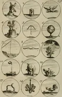 An illustration from Recueil d'emblêmes, devises, medailles, et figures hieroglyphiques, au nombre de plus de douze cent, avec leurs explications : accompagné de plus de deux mille chiffres fleuronnez simples, doubles & triples : d'une manière nouvelle & fort curieuse pour tous les noms imaginables : avec les tenants, supports, & cimiers servans aux ornemens des armes : cet ouvrage qui est enrichy de deux cens cinquante planches en taille-douce, est très-utile aux graveurs, peintres, sculpteurs, orfevres, brodeurs, serruriers, & à tous ceux qui travaillent au dessein (1724)