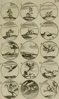 An illustration from Recueil d'emblêmes, devises, medailles, et figures hieroglyphiques, au nombre de plus de douze cent, avec leurs explications : accompagné de plus de deux mille chiffres fleuronnez simples, doubles & triples : d'une manière nouvelle & fort curieuse pour tous les noms imaginables : avec les tenants, supports, & cimiers servans aux ornemens des armes : cet ouvrage qui est enrichy de deux cens cinquante planches en taille-douce, est très-utile aux graveurs, peintres, sculpteurs, orfevres, brodeurs, serruriers, & à tous ceux qui travaillent au dessein (1724)