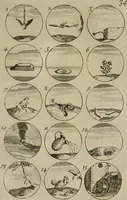An illustration from Recueil d'emblêmes, devises, medailles, et figures hieroglyphiques, au nombre de plus de douze cent, avec leurs explications : accompagné de plus de deux mille chiffres fleuronnez simples, doubles & triples : d'une manière nouvelle & fort curieuse pour tous les noms imaginables : avec les tenants, supports, & cimiers servans aux ornemens des armes : cet ouvrage qui est enrichy de deux cens cinquante planches en taille-douce, est très-utile aux graveurs, peintres, sculpteurs, orfevres, brodeurs, serruriers, & à tous ceux qui travaillent au dessein (1724)