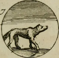 An illustration from Recueil d'emblêmes, devises, medailles, et figures hieroglyphiques, au nombre de plus de douze cent, avec leurs explications : accompagné de plus de deux mille chiffres fleuronnez simples, doubles & triples : d'une manière nouvelle & fort curieuse pour tous les noms imaginables : avec les tenants, supports, & cimiers servans aux ornemens des armes : cet ouvrage qui est enrichy de deux cens cinquante planches en taille-douce, est très-utile aux graveurs, peintres, sculpteurs, orfevres, brodeurs, serruriers, & à tous ceux qui travaillent au dessein (1724)