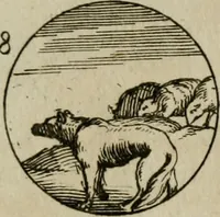 An illustration from Recueil d'emblêmes, devises, medailles, et figures hieroglyphiques, au nombre de plus de douze cent, avec leurs explications : accompagné de plus de deux mille chiffres fleuronnez simples, doubles & triples : d'une manière nouvelle & fort curieuse pour tous les noms imaginables : avec les tenants, supports, & cimiers servans aux ornemens des armes : cet ouvrage qui est enrichy de deux cens cinquante planches en taille-douce, est très-utile aux graveurs, peintres, sculpteurs, orfevres, brodeurs, serruriers, & à tous ceux qui travaillent au dessein (1724)