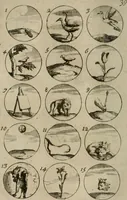 An illustration from Recueil d'emblêmes, devises, medailles, et figures hieroglyphiques, au nombre de plus de douze cent, avec leurs explications : accompagné de plus de deux mille chiffres fleuronnez simples, doubles & triples : d'une manière nouvelle & fort curieuse pour tous les noms imaginables : avec les tenants, supports, & cimiers servans aux ornemens des armes : cet ouvrage qui est enrichy de deux cens cinquante planches en taille-douce, est très-utile aux graveurs, peintres, sculpteurs, orfevres, brodeurs, serruriers, & à tous ceux qui travaillent au dessein (1724)