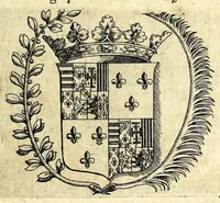 Picture 13 of 14 from Recueil de plusieurs machines militaires et feux artificiels pour la guerre & recreation : auec l'alphabet de Trittemius par laquelle chacun qui sçait escrire peut promptement composer congruement en latin, aussi le moyen d'escrire la nuict á son amy absent (1620), leaf 101