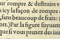 An illustration from Recueil de plusieurs machines militaires et feux artificiels pour la guerre & recreation : auec l'alphabet de Trittemius par laquelle chacun qui sçait escrire peut promptement composer congruement en latin, aussi le moyen d'escrire la nuict á son amy absent (1620)
