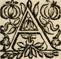An illustration from Recueil des chartes, créations, confirmations et colonel, capitaines, major, officiers et trois cens archers de la ville de Paris (1667)