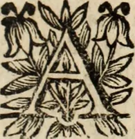 Picture 47 of 48 from Recueil des chartes, créations, confirmations et colonel, capitaines, major, officiers et trois cens archers de la ville de Paris (1667), leaf 222