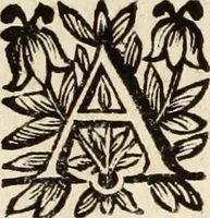 Picture 22 of 48 from Recueil des chartes, créations, confirmations et colonel, capitaines, major, officiers et trois cens archers de la ville de Paris (1667), leaf 97
