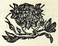 An illustration from Recueil des opera (1687)