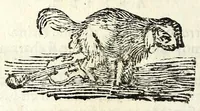 Picture 12 of 22 from Recueil des opera (1687), leaf 176