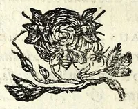 An illustration from Recueil des opera (1687)