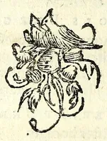 Picture 22 of 22 from Recueil des opera (1687), leaf 348