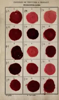 An illustration from Recueil des principaux procédés de teintures a mordant a l'usage des teinturiers (1871)