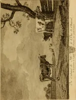 An illustration from Recueil d'estampes gravées d'après les tableaux du cabinet de Monseigneur le duc de Choiseul (1771)