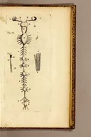 An illustration from Recueil de voyages (1681)