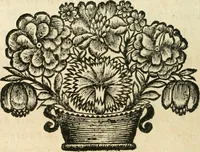 An illustration from Recueil d'ouvrages curieux de mathematique et de mecanique; ou, Description du cabinet de monsieur Grollier de Serviere (1719)