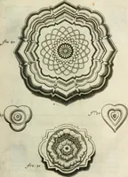 An illustration from Recueil d'ouvrages curieux de mathematique et de mecanique; ou, Description du cabinet de monsieur Grollier de Serviere (1719)