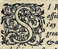 An illustration from Recueil et discours du voyage du roy Charles IX. de ce nom à present regnant, accompagné des choses dignes de memorie faictes en chacun endroit faisant sondit voyage en ses païs & prouinces de Champaigne, Bourgoigne ... & plusieurs autres lieux, suyuant son retour depuis son partement de Paris iusques à son retour audit lieu, és années mil cinq cens soixante quatre & soixante cinq. (1566)