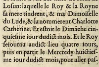 An illustration from Recueil et discours du voyage du roy Charles IX. de ce nom à present regnant, accompagné des choses dignes de memorie faictes en chacun endroit faisant sondit voyage en ses païs & prouinces de Champaigne, Bourgoigne ... & plusieurs autres lieux, suyuant son retour depuis son partement de Paris iusques à son retour audit lieu, és années mil cinq cens soixante quatre & soixante cinq. (1566)